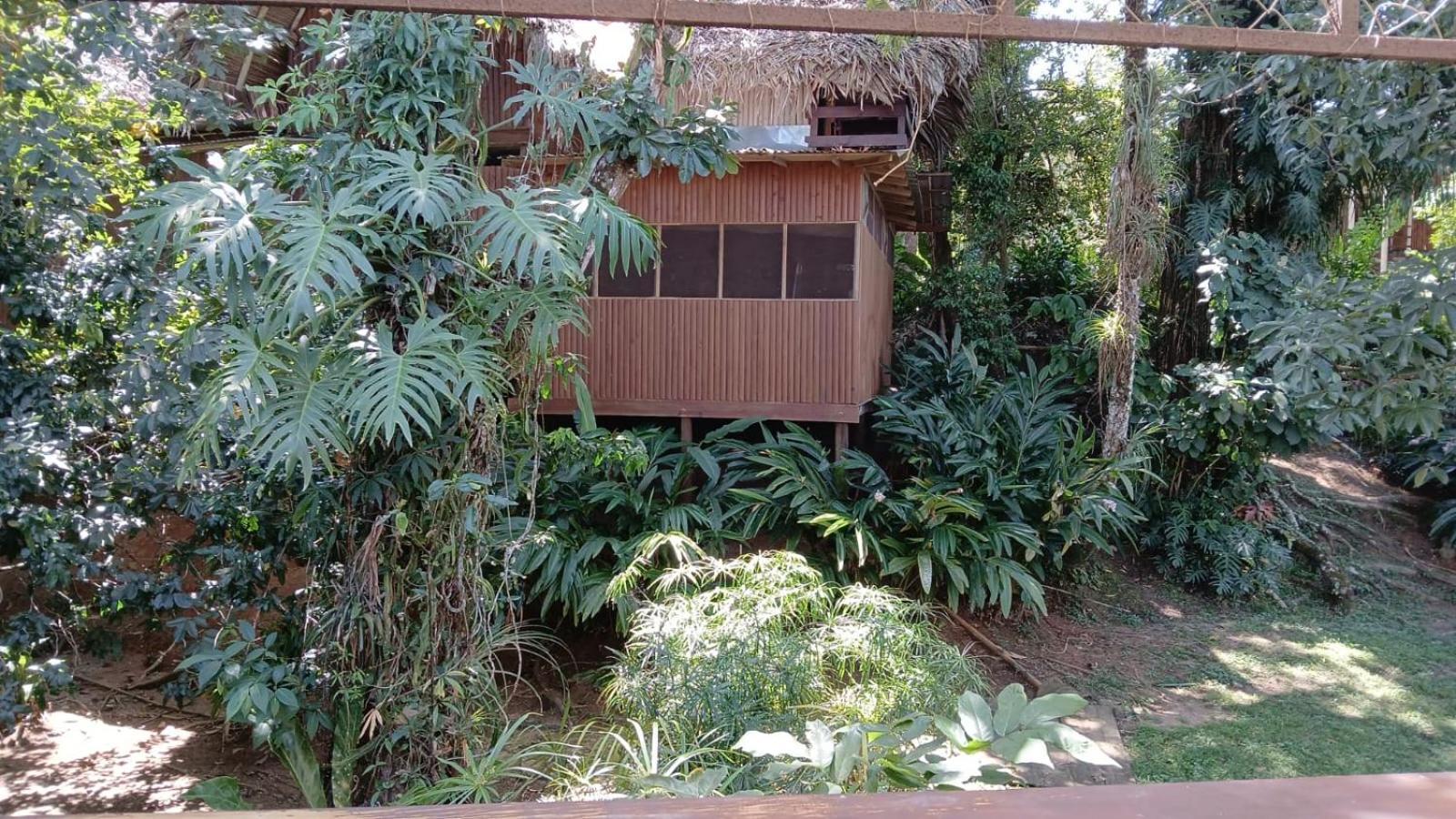 Tortugal Boutique River Lodge Rio Dulce Town Kültér fotó